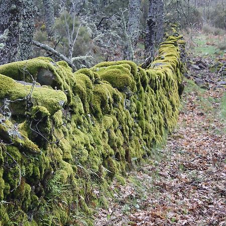 Apartamentos Sierra De Francia Monsagro 外观 照片