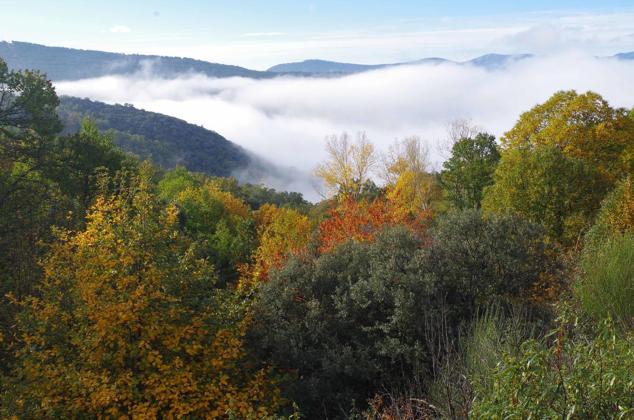 Apartamentos Sierra De Francia Monsagro 外观 照片